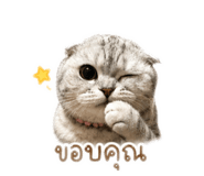 842313592