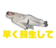 842314233