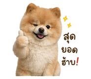 842314321