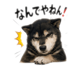 842315249