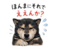 842315259