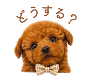 842315585