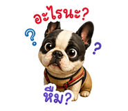 842315594