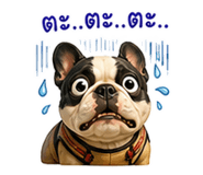 842315616