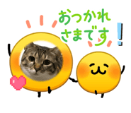 842315634