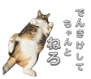 842315640