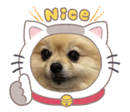 842315660