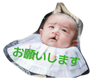 842315675