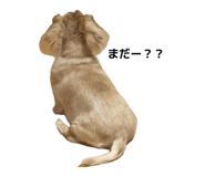 842316021
