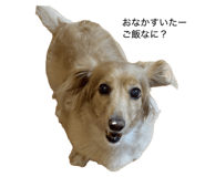 842316026