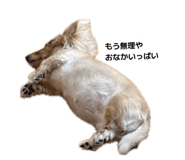 842316027