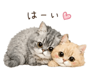 842316122