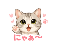 842316238