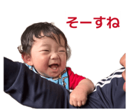 842316537