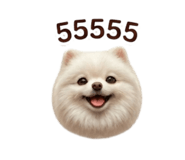 842316827