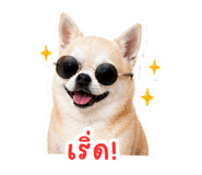 842317712