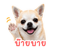 842317723
