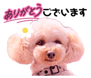 842321064