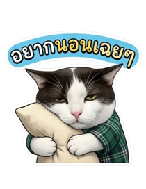 842322165