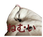 842322202