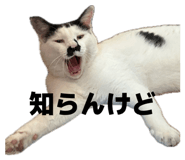 842322203