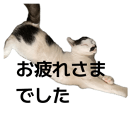 842322207