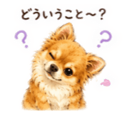 842322610