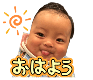 842322646