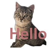 842322689