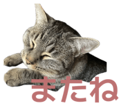 842322690