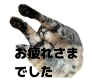 842322693
