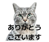 842322696