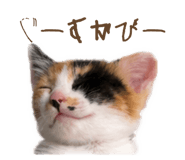 842322811