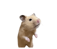 842322980