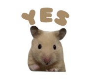 842322993