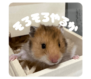 842323000