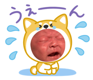 842323365