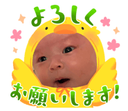 842323366