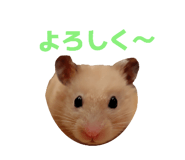 842323371