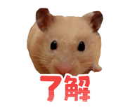 842323372
