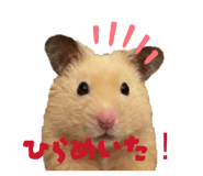 842323374