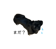 842323426