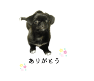 842323434
