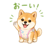 842323521