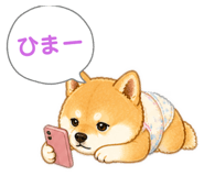 842323526