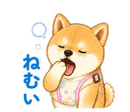 842323529