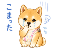 842323530