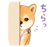 842323536