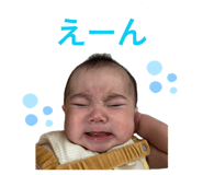 842323568