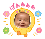 842323594